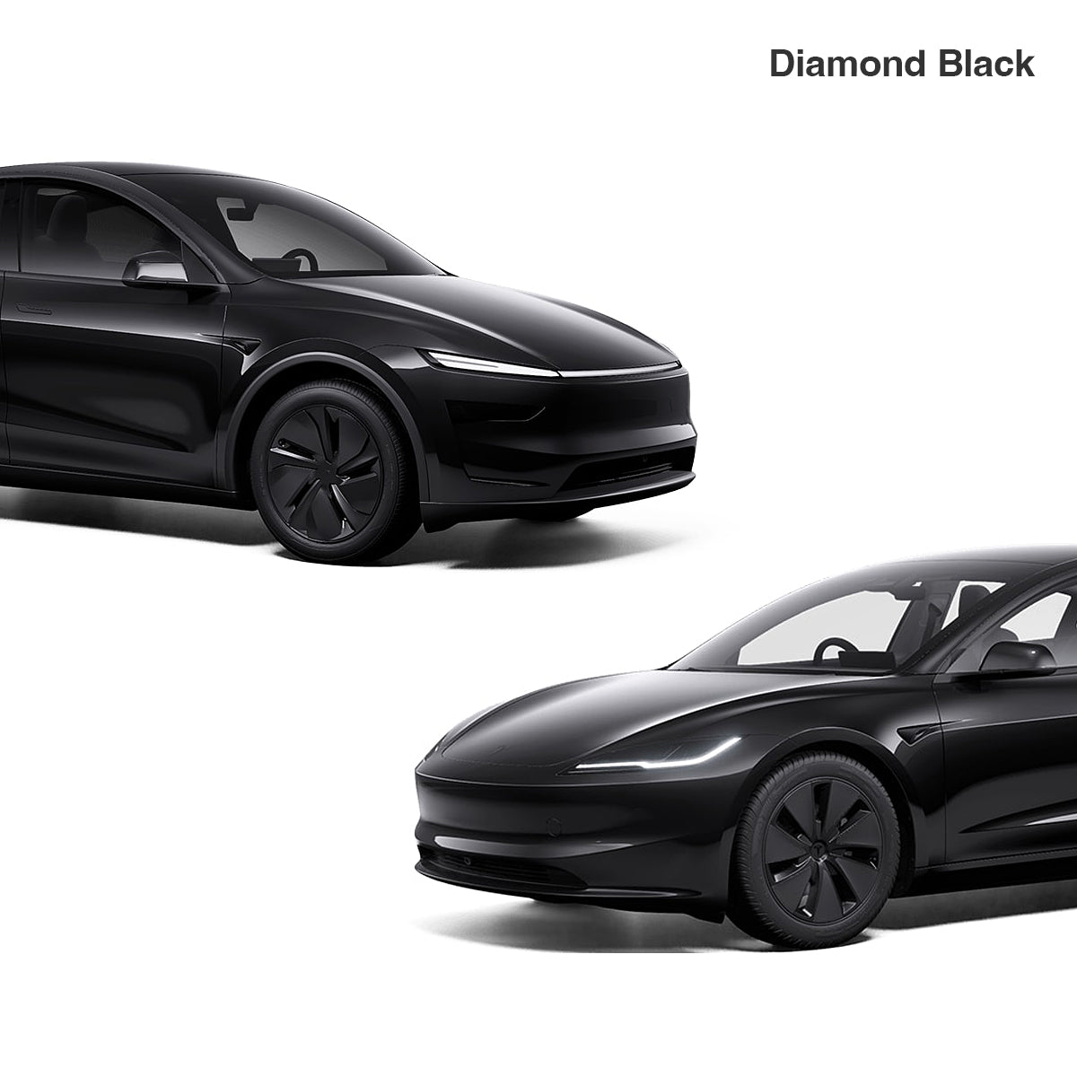 Touch Up for Tesla Body