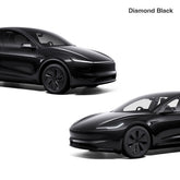 Touch Up for Tesla Body