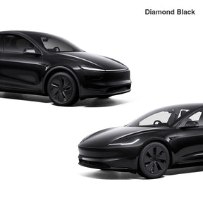 Touch Up for Tesla Body