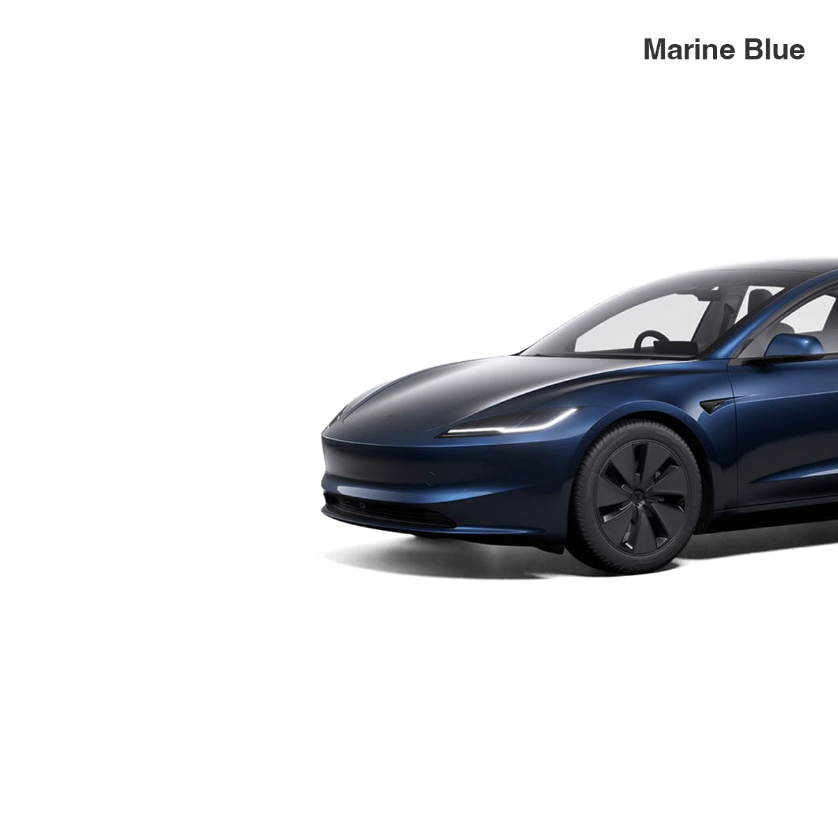 Touch Up for Tesla Body