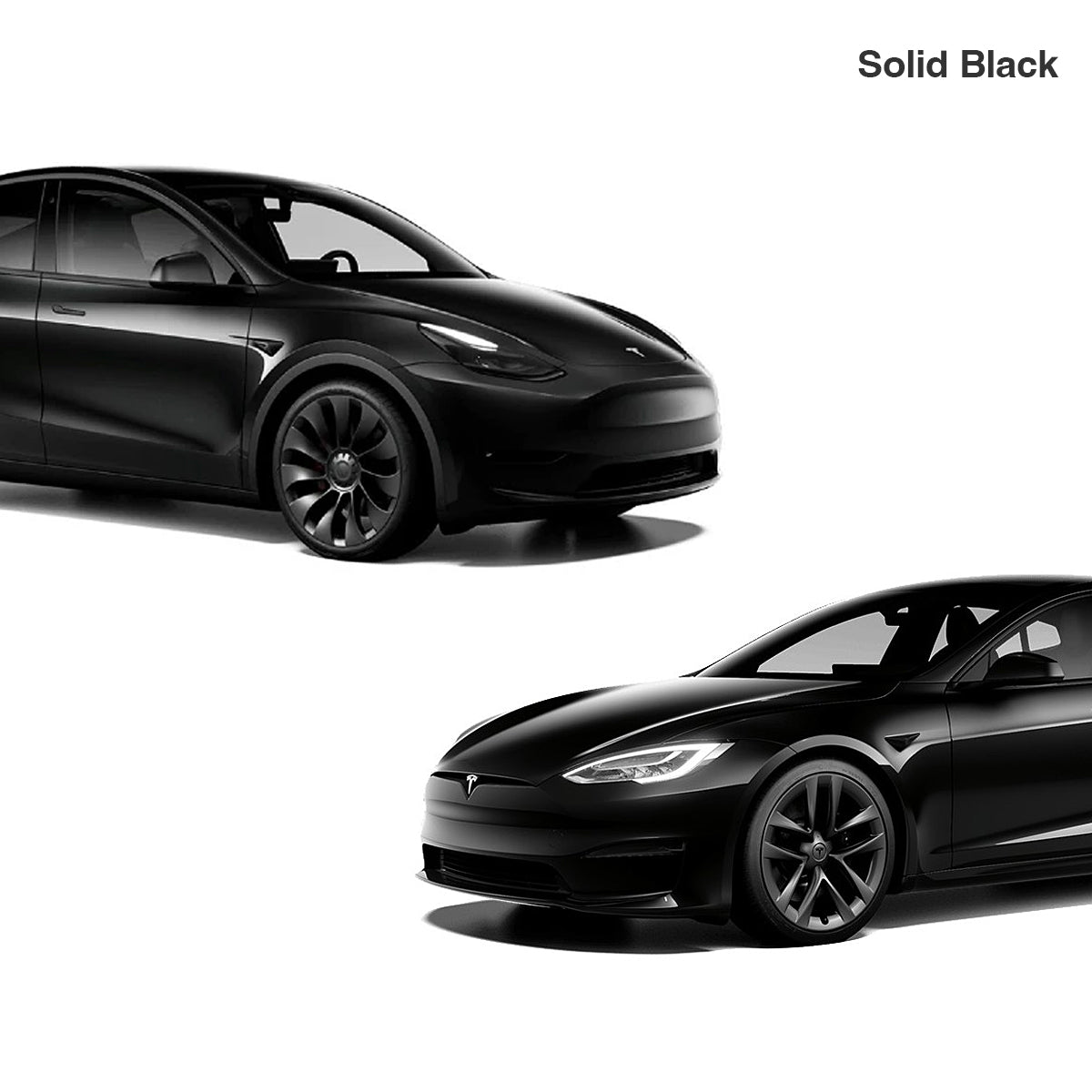 Touch Up for Tesla Body