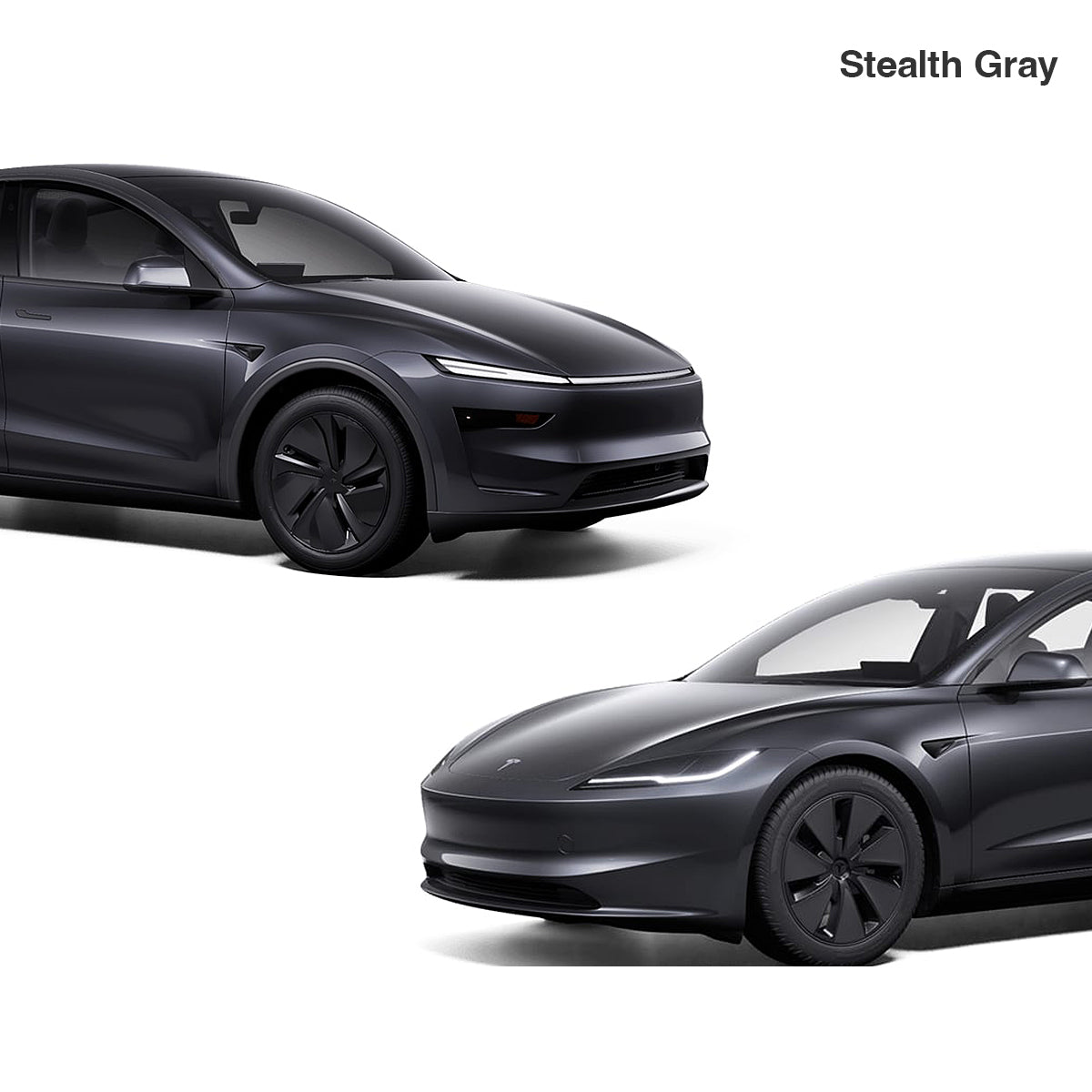 Touch Up for Tesla Body