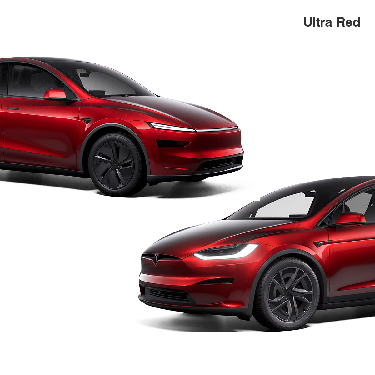 Touch Up for Tesla Body