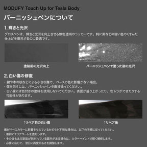 Touch Up for Tesla Body